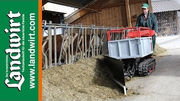 IBEA StableBoy
