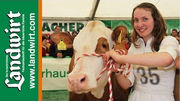K�rntner Gebietsrinderschau 2012