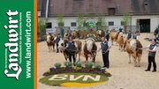 BVN Bullenparade 2013