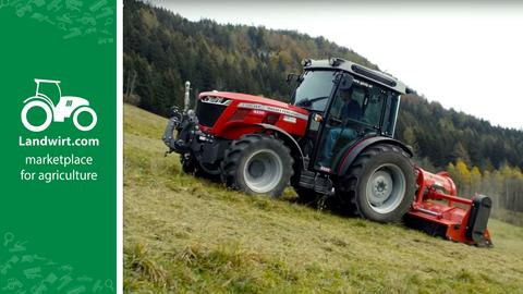 Massey Ferguson 3708 neu oder gebraucht kaufen?