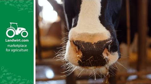 Trinken deine Kühe genügend Wasser?