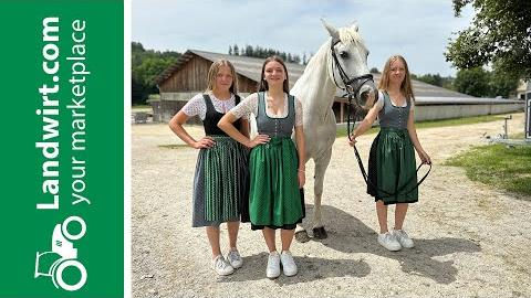 Lipizzaner überall! | landwirt.com