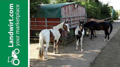 Moderner Aktivstall im Porträt | landwirt.com