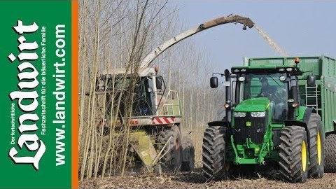 Energieholz Feldtag 2014