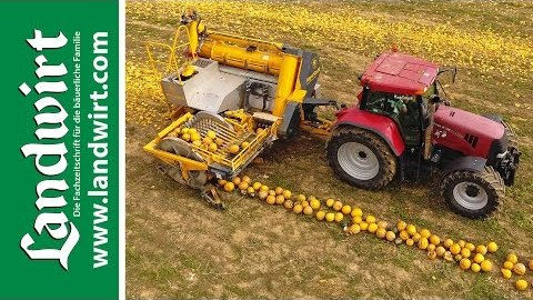 Agro-Stahl Phönix Kürbiserntemaschine