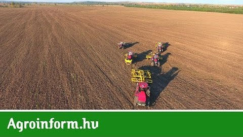 CASE IH ötösfogat a Gergely Farmon