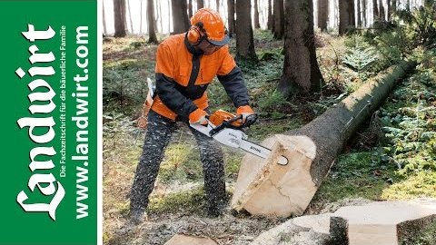 Gefahren bei der Waldarbeit