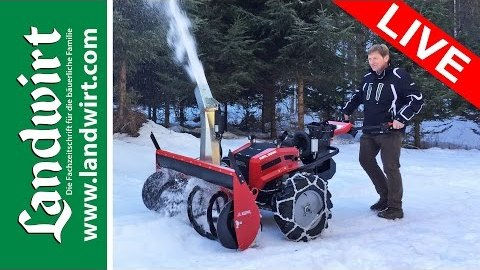 Köppl Gekko im Schnee